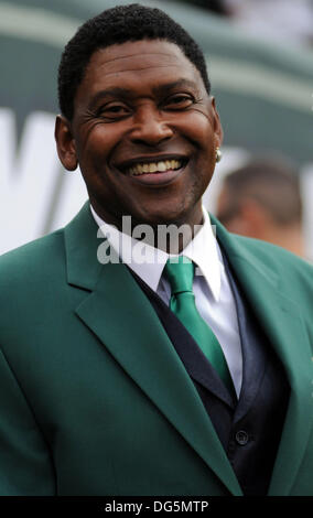 East Rutherford, New Jersey, USA. 13 Oct, 2013. WESLEY Walker à l'NY Jets vs les Pittsburgh Steelers jeu à rencontré LIfe Stadium. © Jeffrey Geller/ZUMA/ZUMAPRESS.com/Alamy fil Live News Banque D'Images