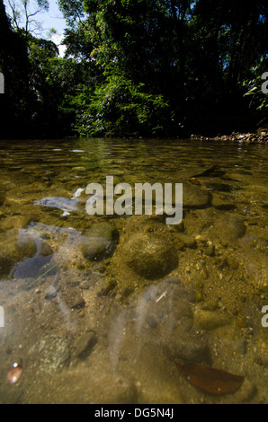 Petite rivière peu profonde sur la façon de Castelhanos Beach, Ilhabela, rivage de l'état de Sao Paulo, Brésil Banque D'Images