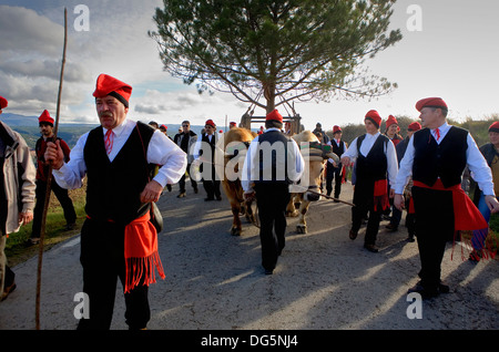 Festival de pin, Centelles, province de Barcelone, Catalogne, Espagne Banque D'Images