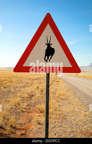 Danger Springbok Crossing Road Sign près de route de campagne, la Namibie, l'Afrique de l'Ouest Banque D'Images