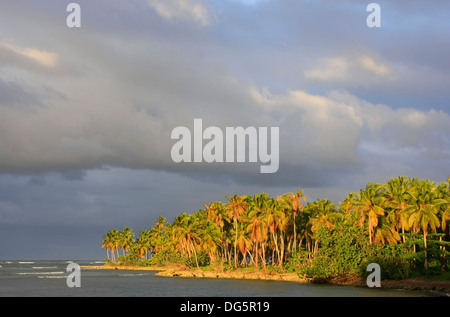 Las Galeras plage au coucher du soleil, péninsule de Samana, République Dominicaine Banque D'Images