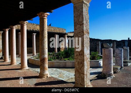 Tunez : Carthage.Villa romaine de la volière Banque D'Images