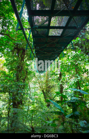 Un pont suspendu dans la cloudforest Monteverde, Costa Rica Banque D'Images