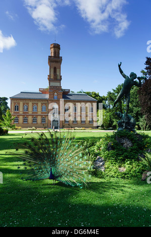 France, Midi-Pyrénées - Tarbes. Le Jardin Massey, parc public. Musée Massey. Banque D'Images