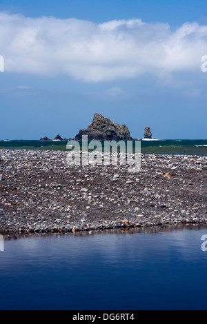 Le Rialto Beach, près de la Push, Washington USA Banque D'Images
