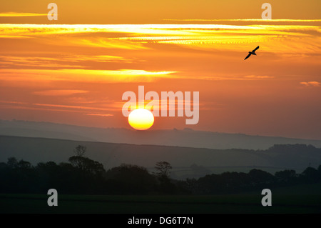 Lever de soleil sur l'automne Château Dore, près de Golant et Fowey, Cornwall, UK. Photo de John Robertson, 2013. Banque D'Images