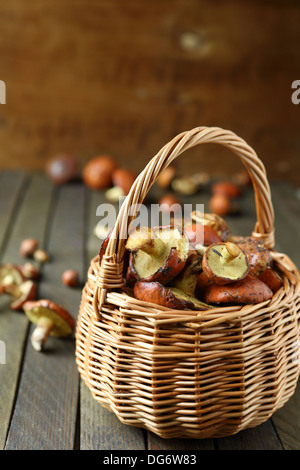 Les champignons frais recueillis dans la forêt dans un panier alimentaire, Close up Banque D'Images