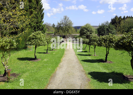 Les jardins de Drum Castle dans le Royal Deeside près de Banchory, Aberdeenshire, Scotland, UK Banque D'Images