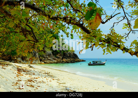 Îles et plages de la Thaïlande - Longtailed voile sur une plage de dessert Banque D'Images