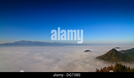 Tatra, au-dessus des nuages. Panorama de la gamme Tatra vu tôt le matin du plus haut sommet de montagnes Pieniny, Trzy Korony Banque D'Images