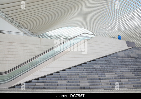 La gare de Liège-Guillemins conçue par l'architecte Santiago Calatrava à Liège Belgique Banque D'Images