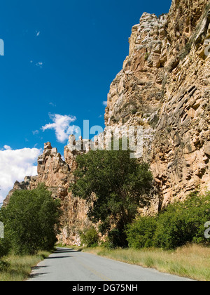 Sheep Creek Canyon,Flaming Gorge National Recreation Area, Utah Banque D'Images