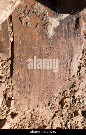 Sculptures rupestres préhistoriques à l'Aman sur Ighribin le Tata à Akka road au Maroc Banque D'Images