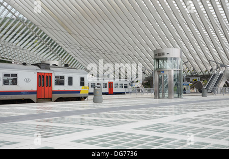 La gare de Liège-Guillemins conçue par l'architecte Santiago Calatrava à Liège Belgique Banque D'Images