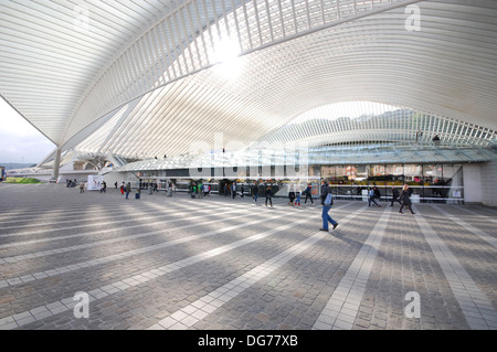 La gare de Liège-Guillemins conçue par l'architecte Santiago Calatrava à Liège Belgique Banque D'Images