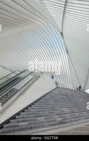 La gare de Liège-Guillemins conçue par l'architecte Santiago Calatrava à Liège Belgique Banque D'Images