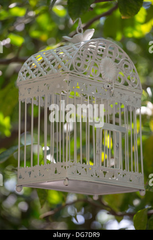 Oiseau en cage vide accrochée à un arbre, dans les rues de Crète, Grèce , 2013. Banque D'Images