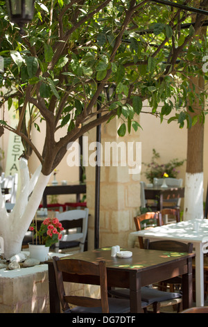 Peint blanc partielle d'olivier et terrasse d'un restaurant traditionnel en Crète, Grèce, 2013. Banque D'Images