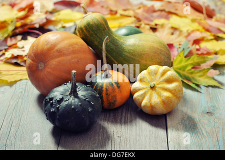 Les petites citrouilles décoratives avec les feuilles d'automne sur fond de bois Banque D'Images