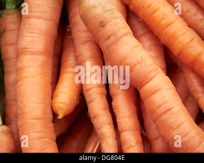 Les carottes dans le marché, Henley on Thames, Angleterre Banque D'Images