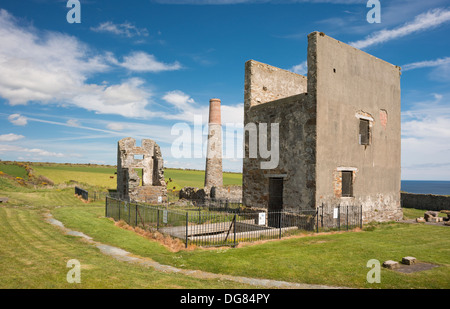 19e siècle bâtiments mine Cornish ruinée à Tankardstown, dans le Copper Coast Geopark, comté de Waterford, Irlande Banque D'Images