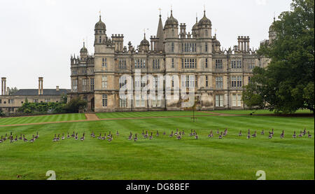 Offres et demandes de Burghley Lincolnshire, Royaume-Uni. 16 octobre 2013. Oies sur la pelouse en face de Burghley House. Peu de temps après cela a été pris un chien a été envoyé pour les effrayer de la pelouse. Credit : Lovelylight/Alamy Live News Banque D'Images