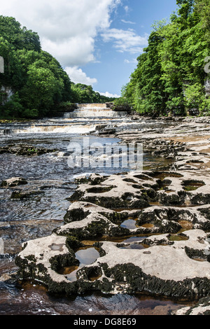 Aysgarth Falls Yorkshire Banque D'Images