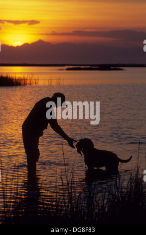 Un chasseur de canard prend un canard de son labrador retriever dog au coucher du soleil sur la baie près de Seadrift au Texas Banque D'Images