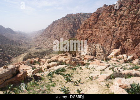 Vue sur le Wadi Dana dans la Réserve de biosphère de Dana, en Jordanie Banque D'Images