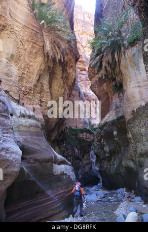 Trek jusqu'Ghweyr Wadi Dana dans la Biosphère, Jordanie Banque D'Images