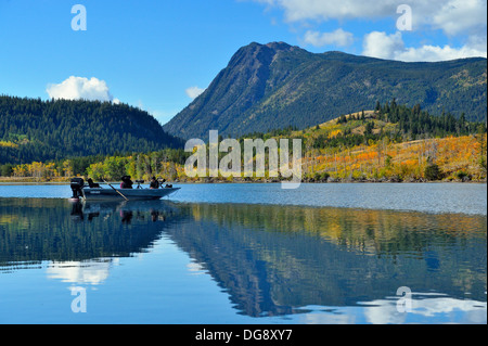 La photographie et l'observation des grizzlis à partir d'un bateau, Chilcotin Wilderness, l'intérieur de la Colombie-Britannique, Canada Banque D'Images