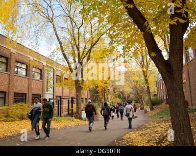 Étudiants universitaires durant l'automne (automne) semestre à l'Université de l'Alberta à Edmonton, Alberta, Canada. Banque D'Images