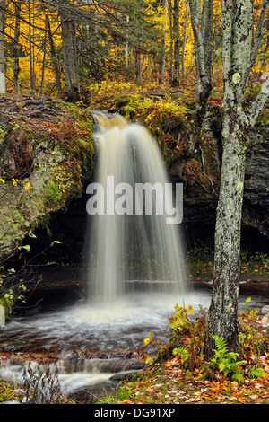 Scott tombe en automne au Train Michigan USA Banque D'Images