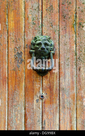 En forme de lion heurtoir sur une vieille porte Banque D'Images