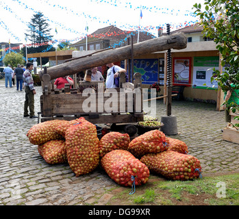 Madère Portugal sacs de pommes à cidre empilées en face d'un vieux pressoir à cidre en bois au Santo de Serra fête du Cidre Banque D'Images