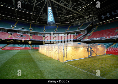 L'intérieur de la Principauté stade avec l'herbe pousse dans des tentes dans la préparation de la saison de rugby à Cardiff, Pays de Galles, Royaume-Uni Banque D'Images