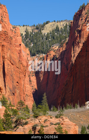 Kolob Canyons, Zion National Park, Utah, USA Banque D'Images