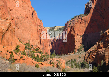 Kolob Canyons, Zion National Park, Utah, USA Banque D'Images