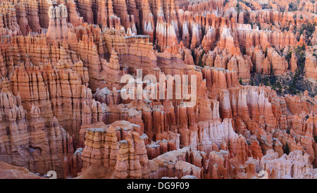Au coucher du soleil de Bryce Canyon, Bryce Canyon National Park, Utah, USA Banque D'Images