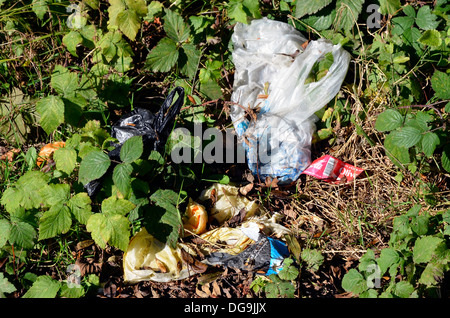 Déchets, ordures et déchets de chiens abandonnés dans des sacs sous-bois à un endroit rural dans le Hampshire. Banque D'Images