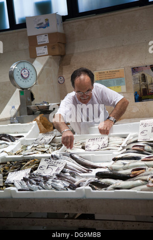 Mercato Comunale di San Benedetto à Cagliari - Sardaigne - Poisson Banque D'Images