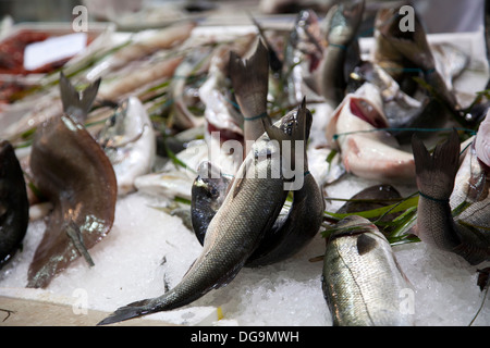 Mercato Comunale di San Benedetto à Cagliari - Sardaigne - Poisson Banque D'Images