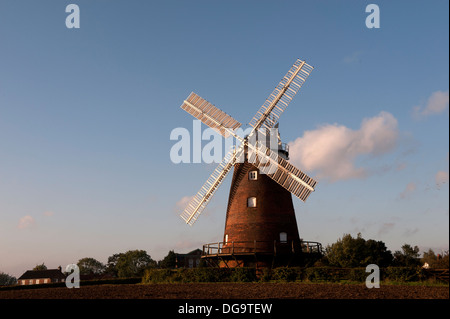 Thaxted Moulin, Essex, Angleterre. 16 octobre 2013 vu ici : John Webb's Moulin, connu sous le nom de Thaxted Moulin Banque D'Images