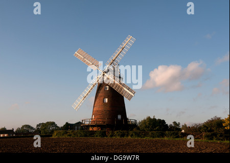 Thaxted Moulin, Essex, Angleterre. 16 octobre 2013 vu ici : John Webb's Moulin, connu sous le nom de Thaxted Moulin Banque D'Images