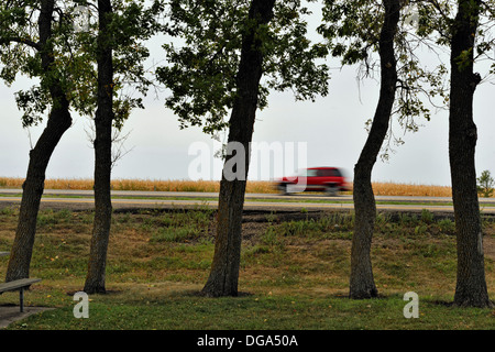 Chêne arbre dans une aire de repos avec autre véhicule sur l'autoroute I 94 Oriska Aire de repos près de Valley City Dakota du Nord USA Banque D'Images