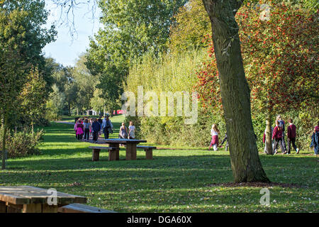 Peterborough (Cambridgeshire, Angleterre. 17 octobre 2013. Les enseignants et élèves bénéficient d'un champ d'automne Voyage en Ferry Meadows, à Peterborough. Credit : Lovelylight/Alamy Live News Banque D'Images