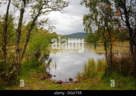 Une vue sur Loch Kinord sur le Muir de Dinnet, réserve naturelle nationale, dans l'Aberdeenshire, Ecosse, Royaume-Uni. Banque D'Images