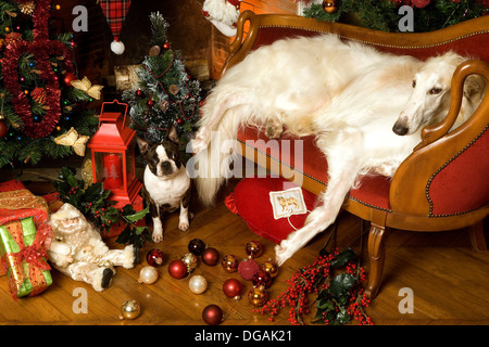 Décoration de Noël et de chaise longe avec des chiens Banque D'Images