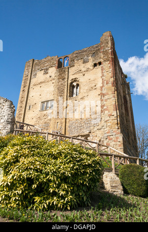 Château de Guildford, Guildford, Surrey, Angleterre Banque D'Images