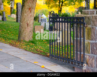 Traverser la membrane dans le feuillage d'automne, soleil du soir Banque D'Images
